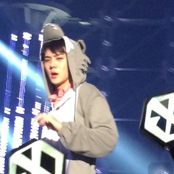 세훈 (EXO)의 최신 사진
