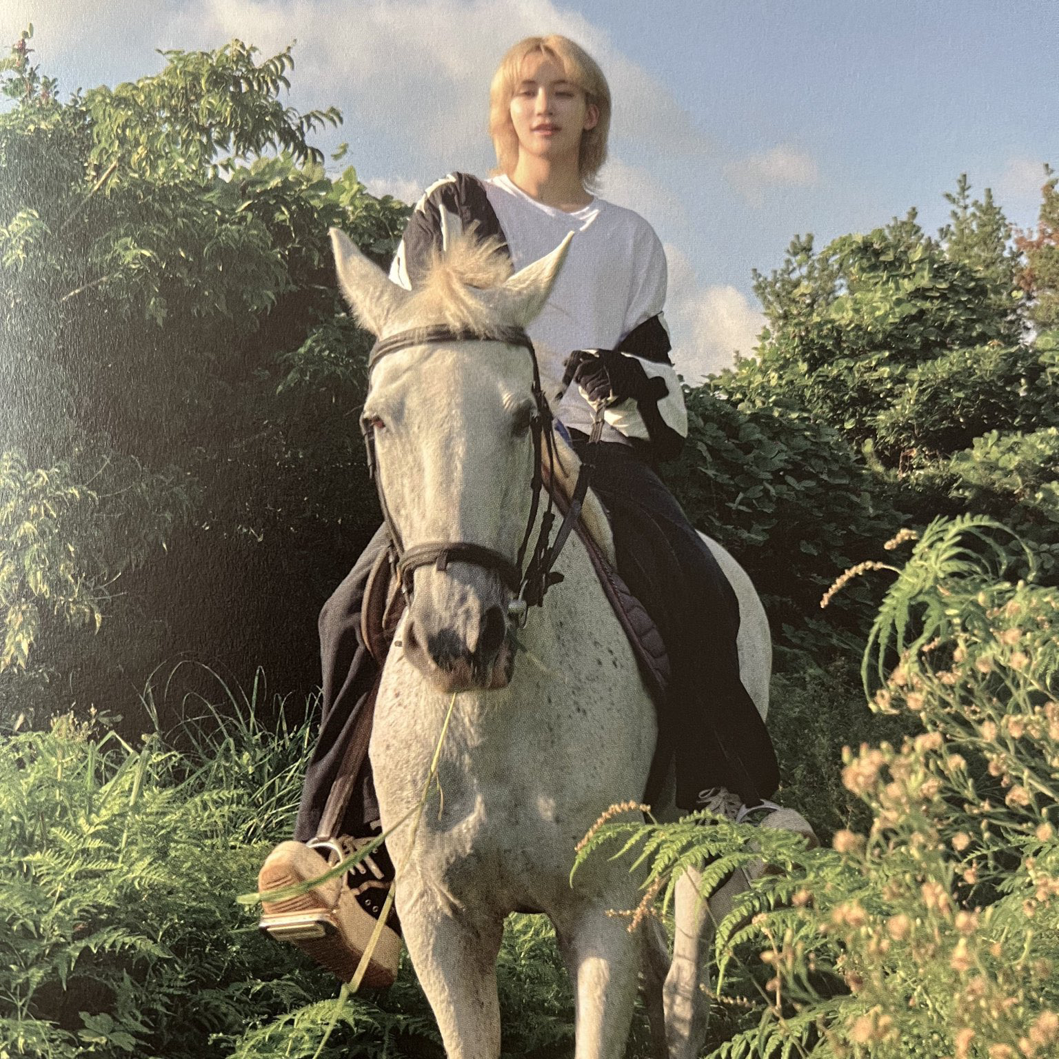 A moment captured by Jeonghan (SEVENTEEN)'s fan