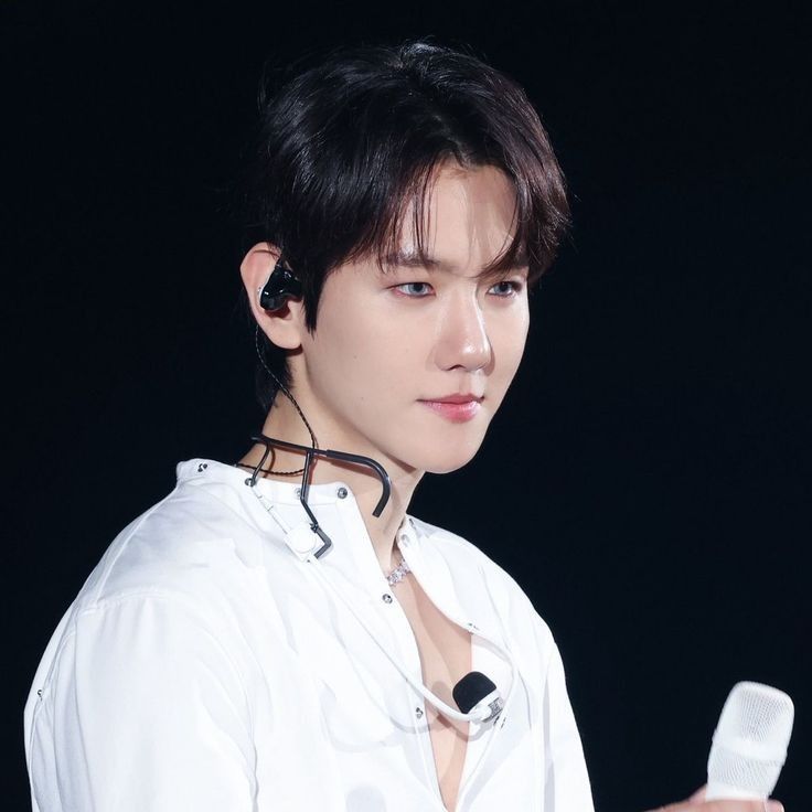 伯賢 (EXO)粉絲拍下的瞬間