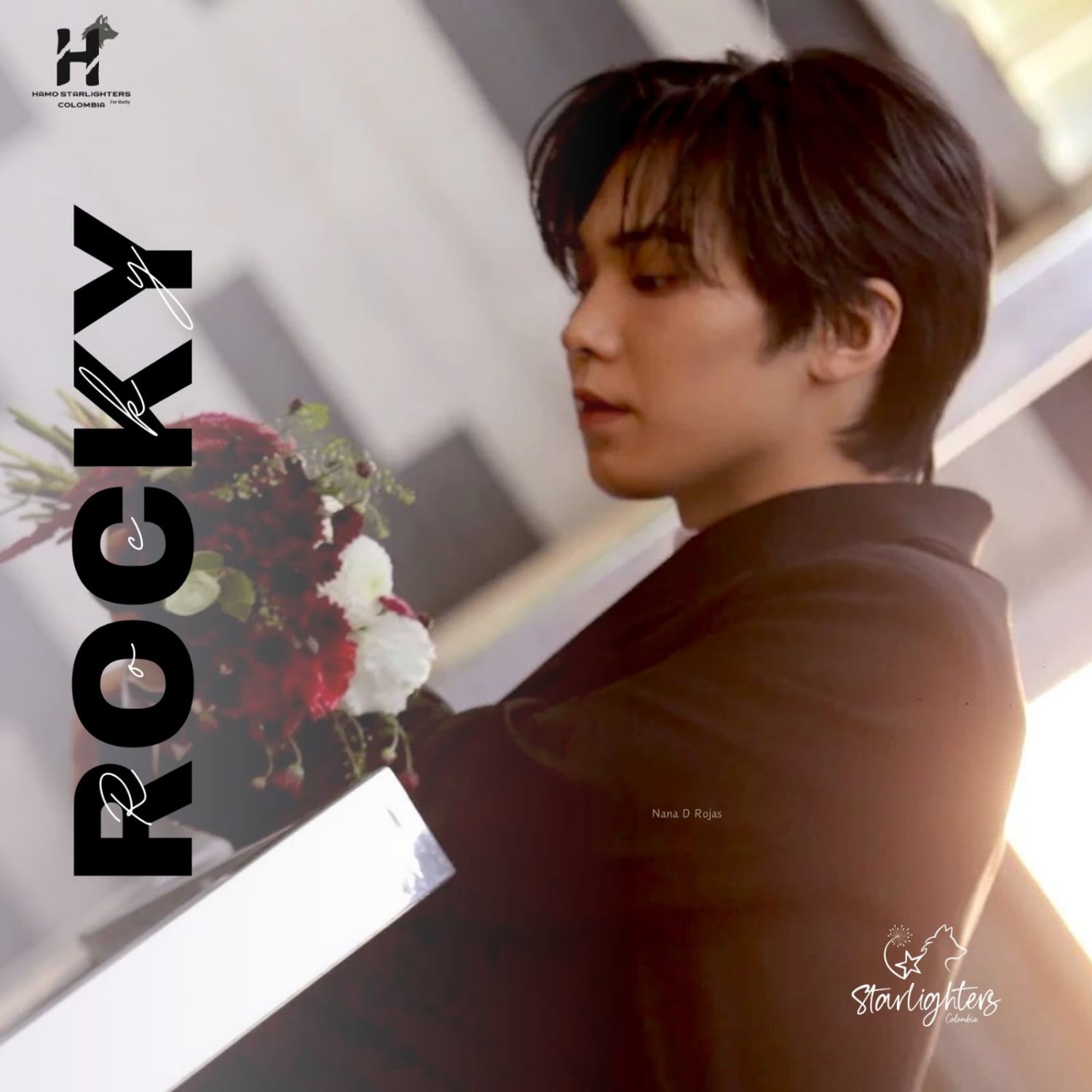 Recent activity shot of Rocky