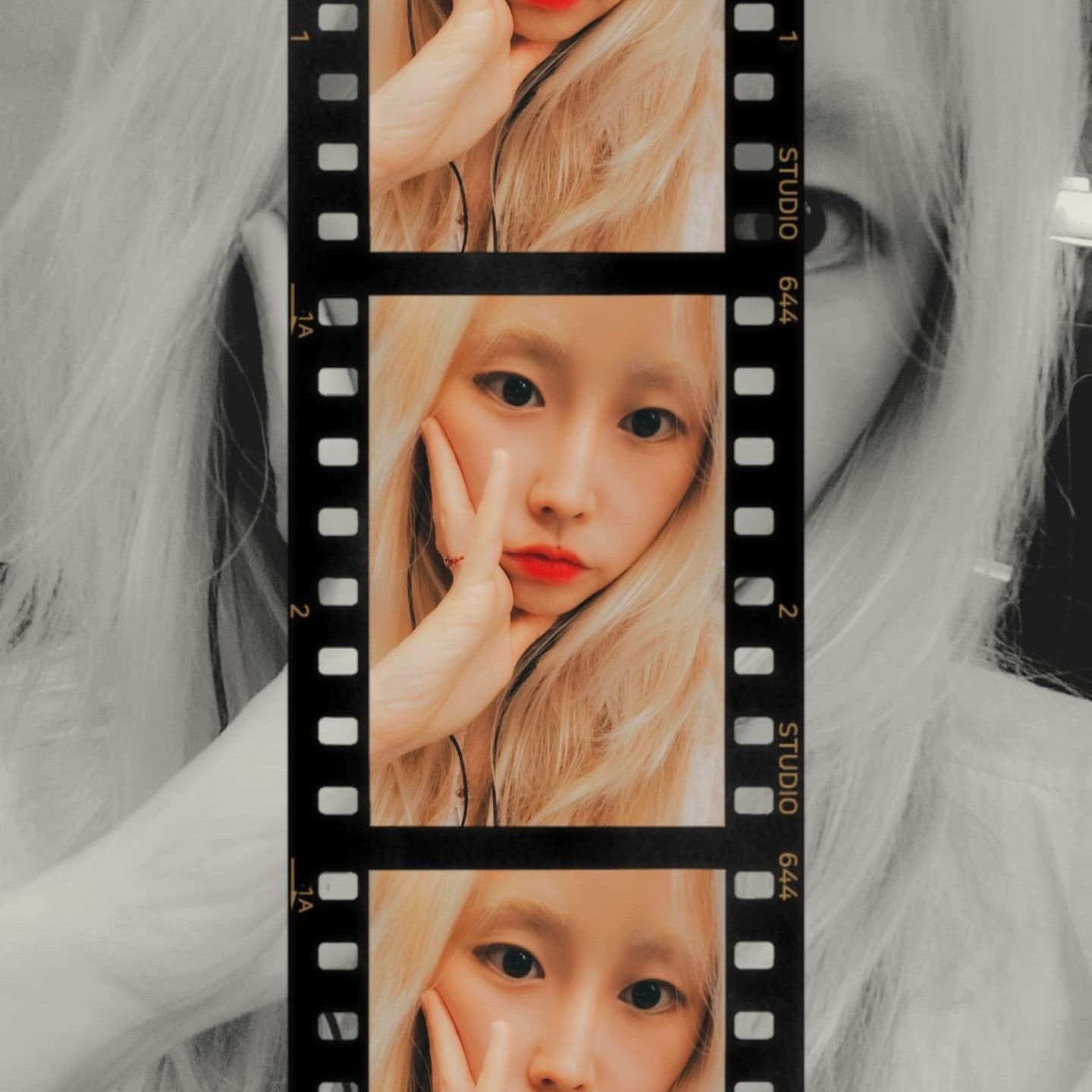 러블리즈 팬이 찍은 순간