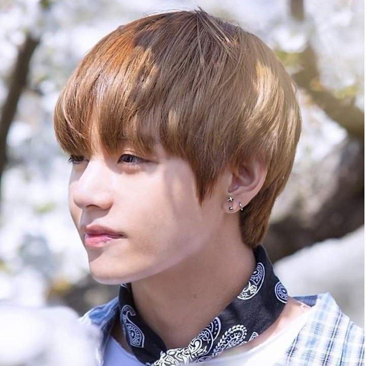 Behind-the-scenes cut of V (BTS)