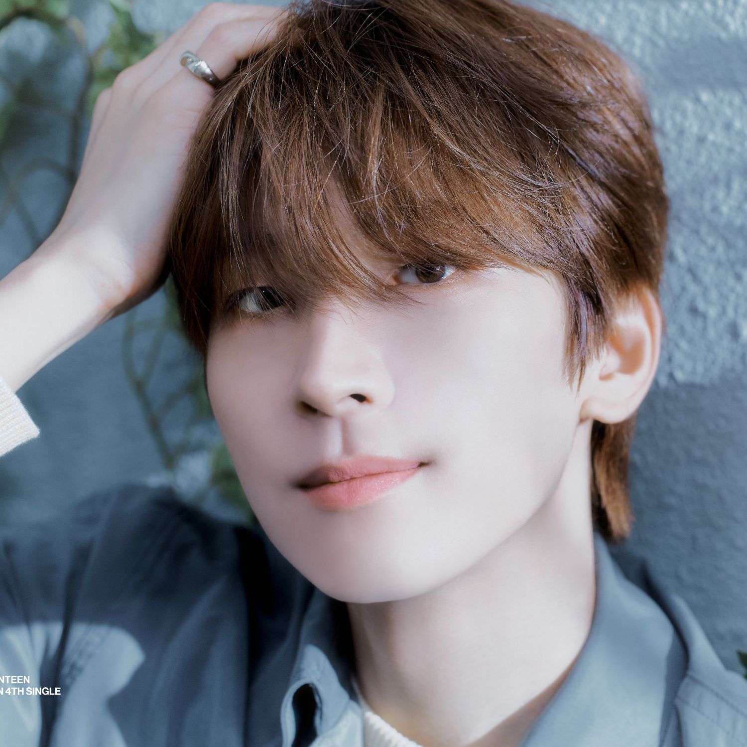 Recent activity shot of Wonwoo (SEVENTEEN)