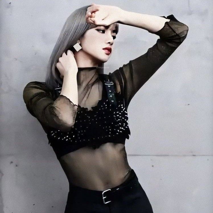 Recent activity shot of Lisa (BLACKPINK)