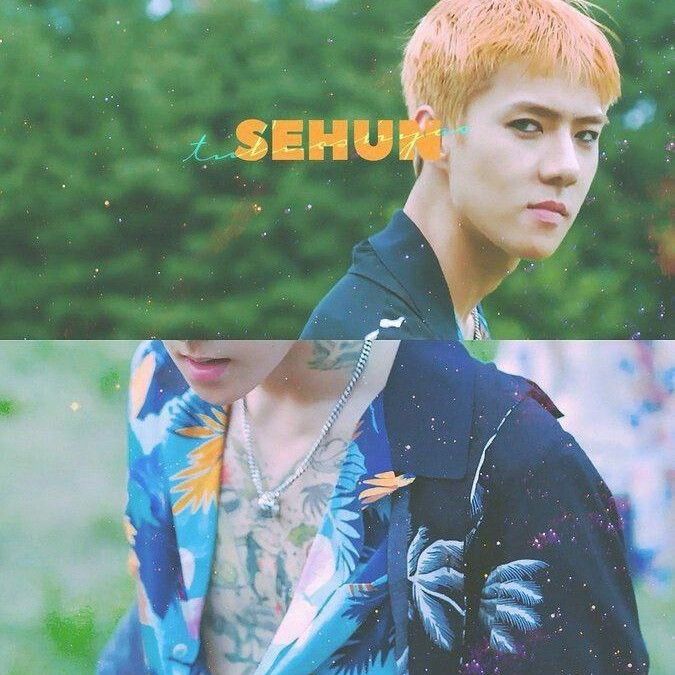 세훈 (EXO) 최근 활동샷