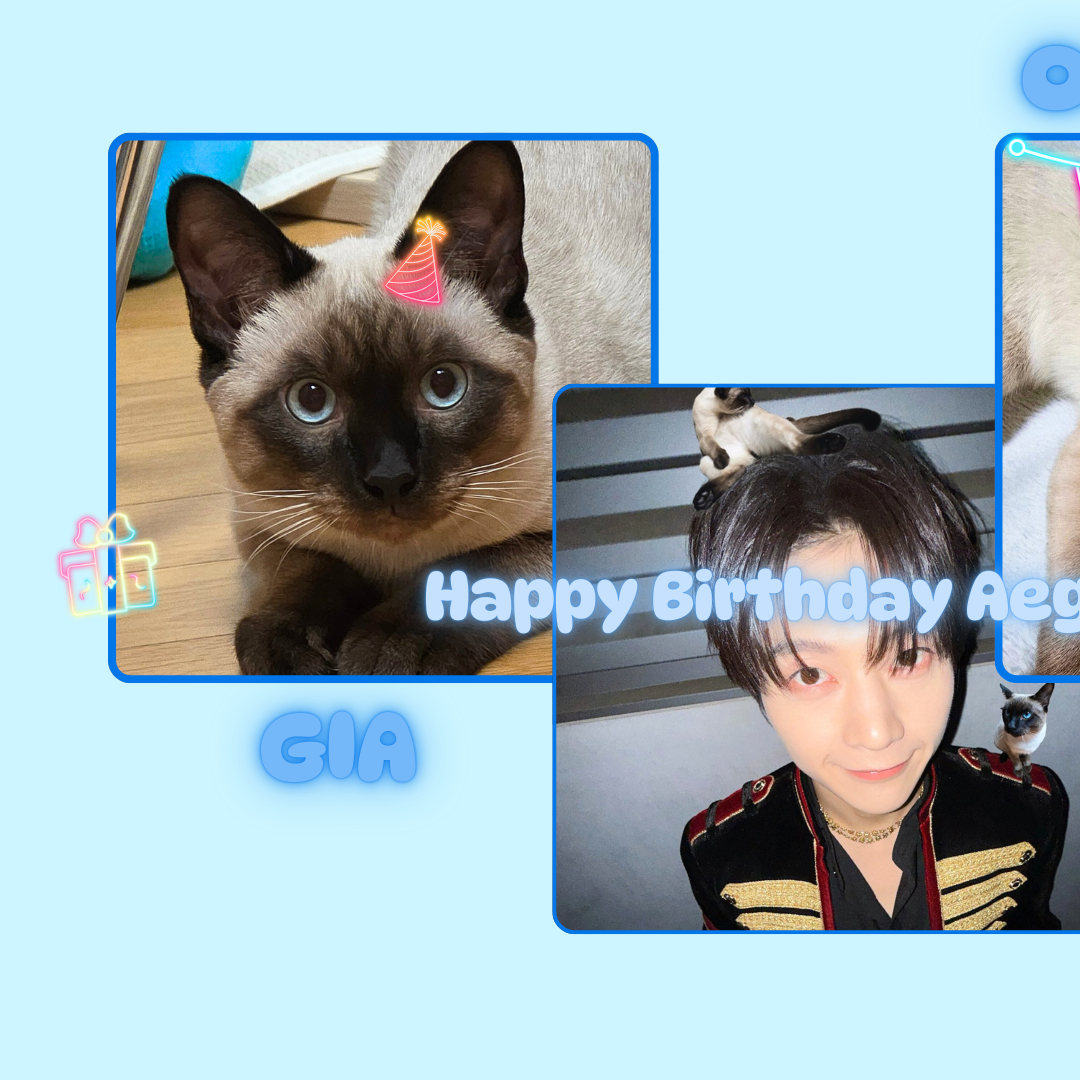 Today’s hot picks from the 석매튜 (제로베이스원) community