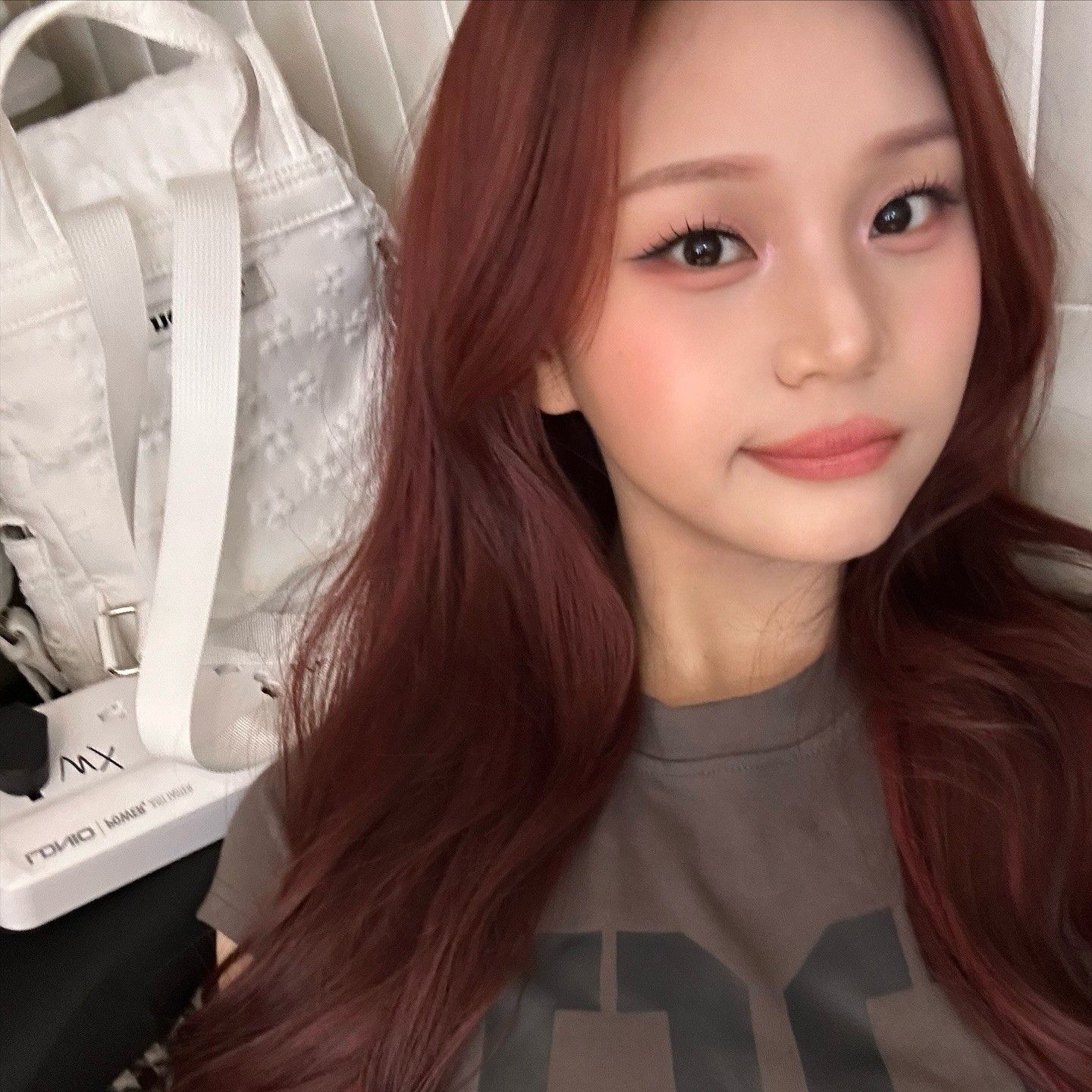 A moment captured by VIVIZ's fan