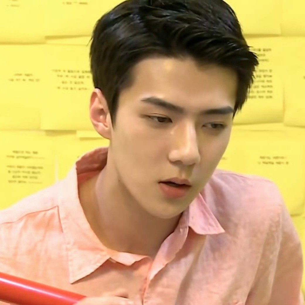 세훈 (EXO) 최근 활동샷