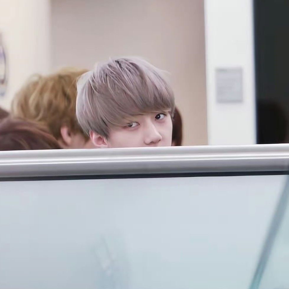 세훈 (EXO) 최근 활동샷