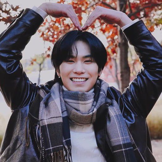 Recent activity shot of Rocky