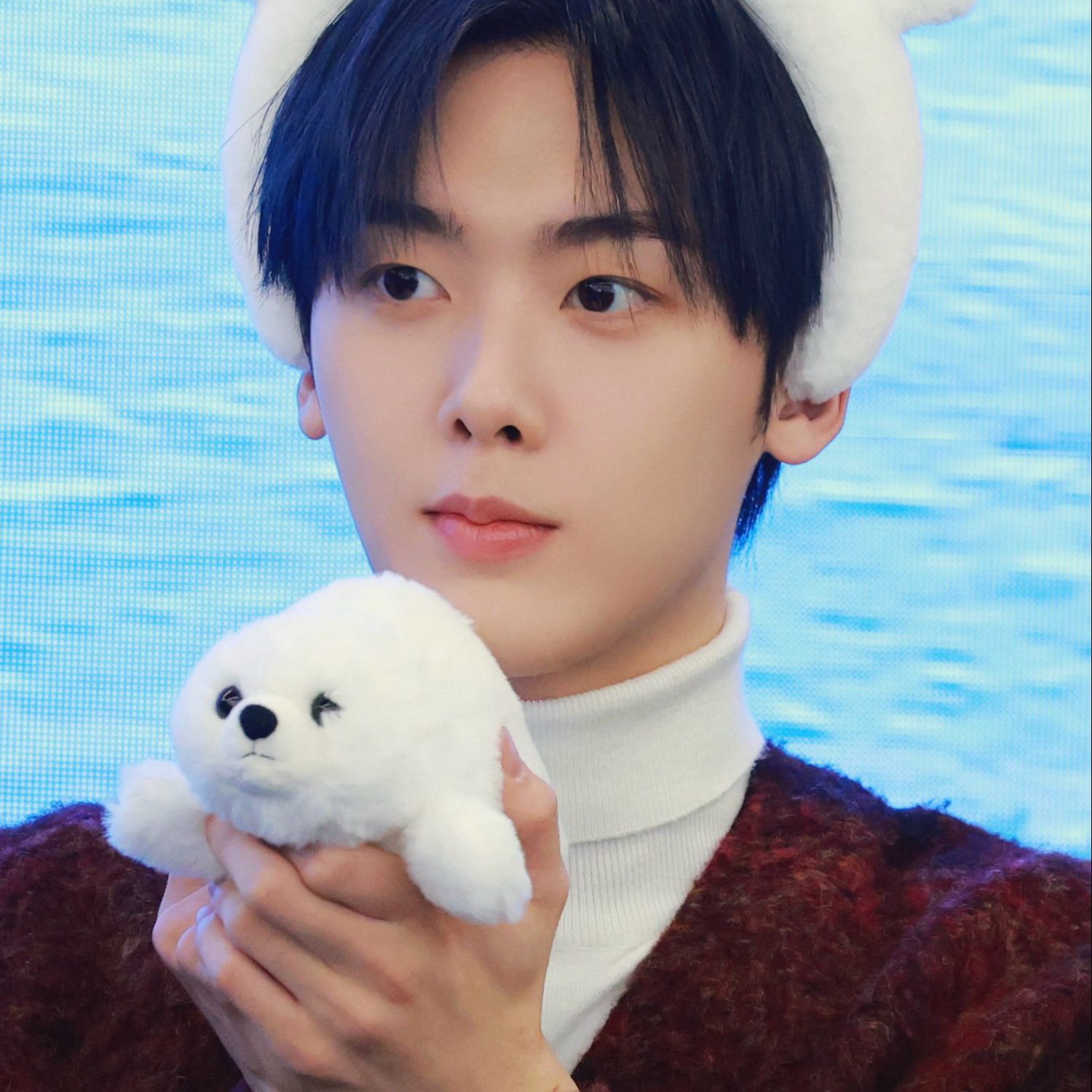 아스트로의 최신 사진