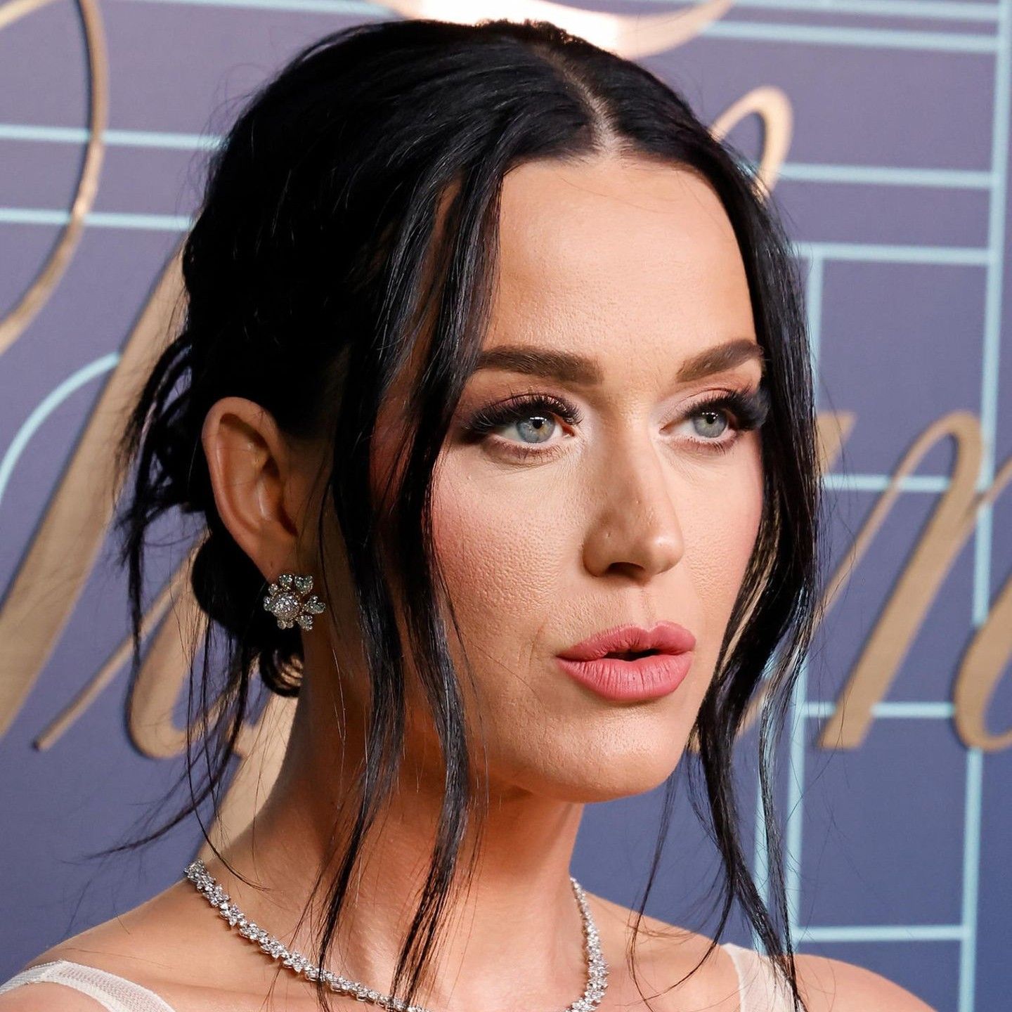 Recent activity shot of Katy Perry