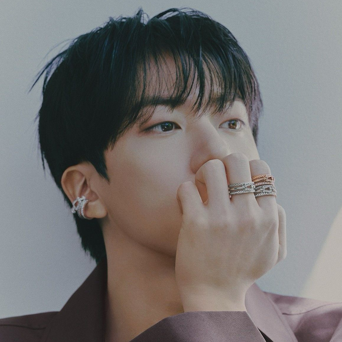 진 (방탄소년단) 팬이 찍은 순간