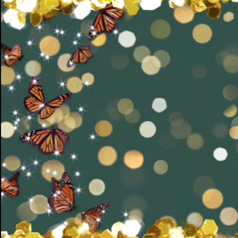 A moment captured by Maya (NiziU)'s fan