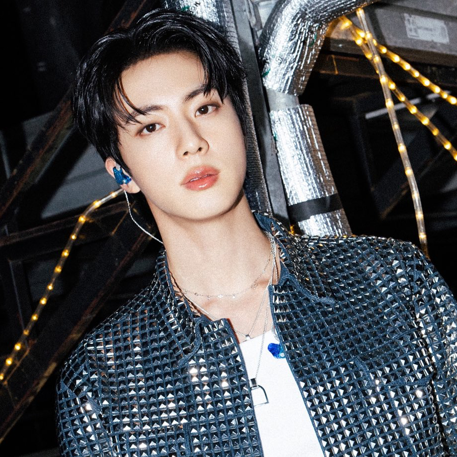 Jin (防弹少年团)的最新活动照片