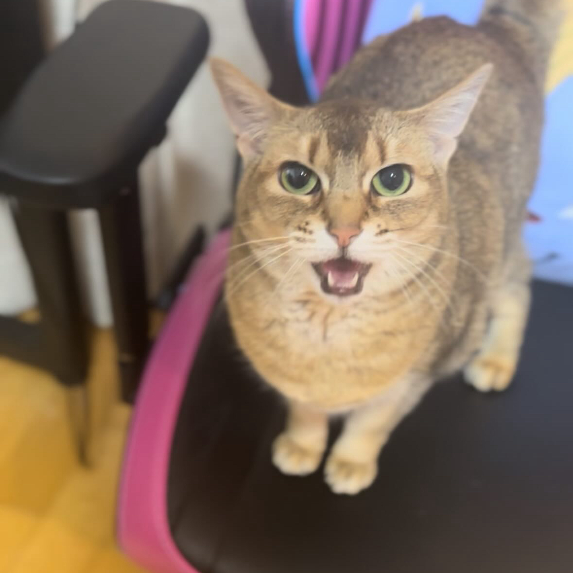 강다니엘 팬이 찍은 순간