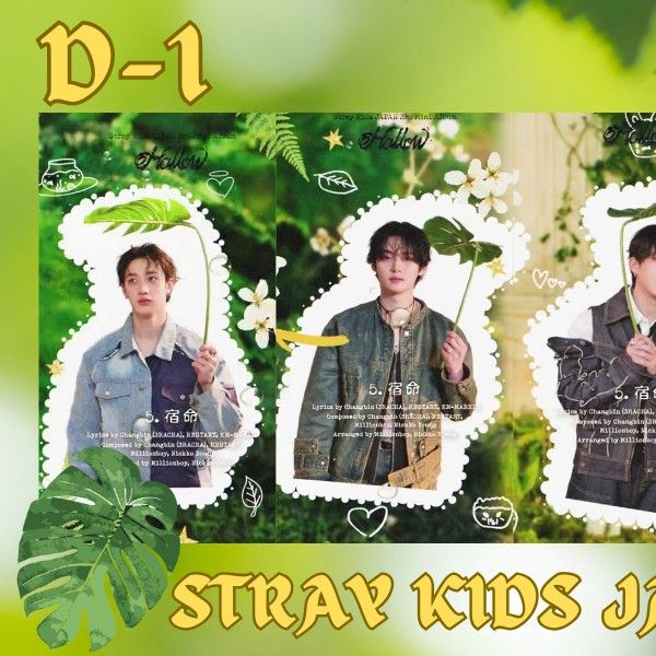 Recent activity shot of Stray Kids