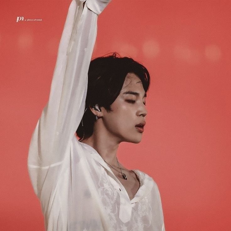 지민 (방탄소년단) 팬이 찍은 순간