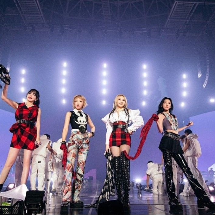 A moment captured by 2NE1's fan
