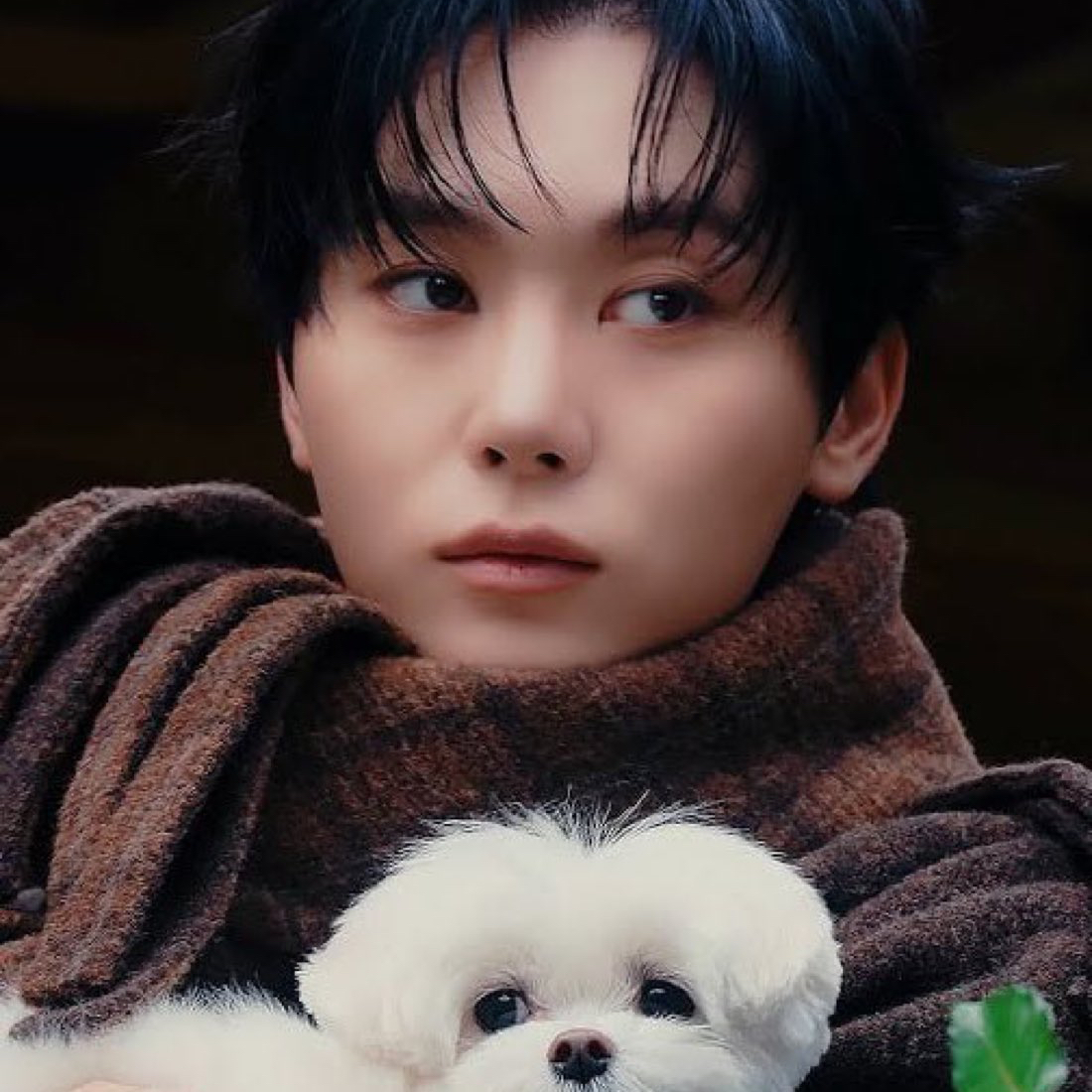 A moment captured by Seungkwan (SEVENTEEN)'s fan