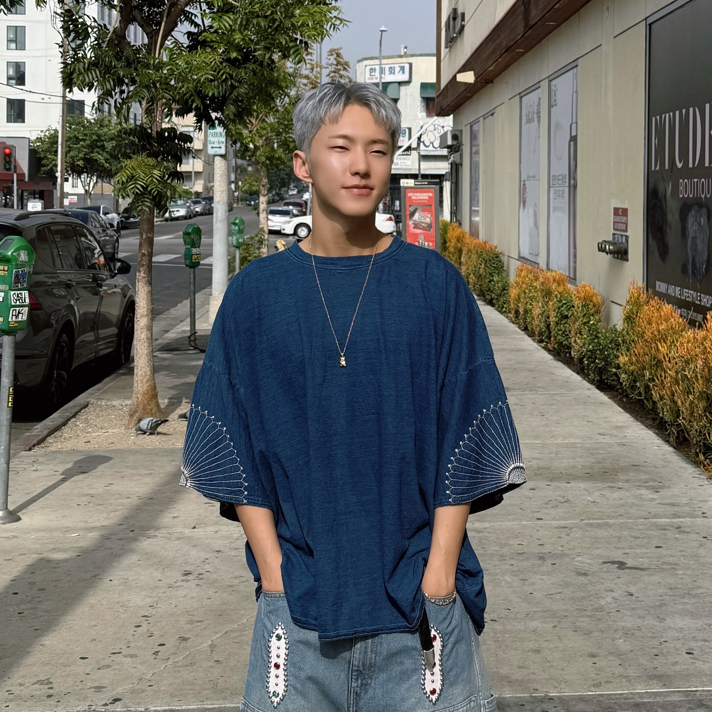 A moment captured by Hoshi (SEVENTEEN)'s fan