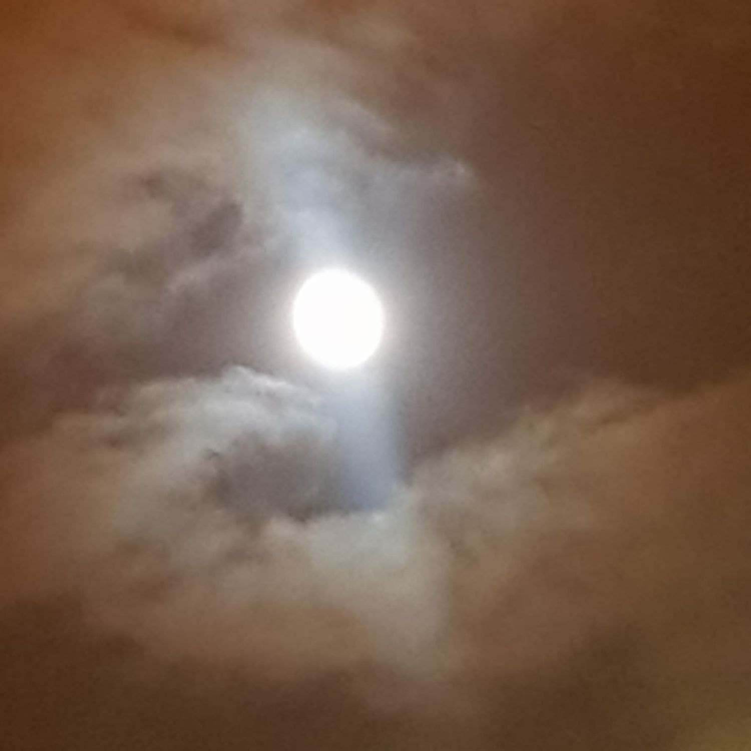 Recent activity shot of Moonbin (ASTRO)