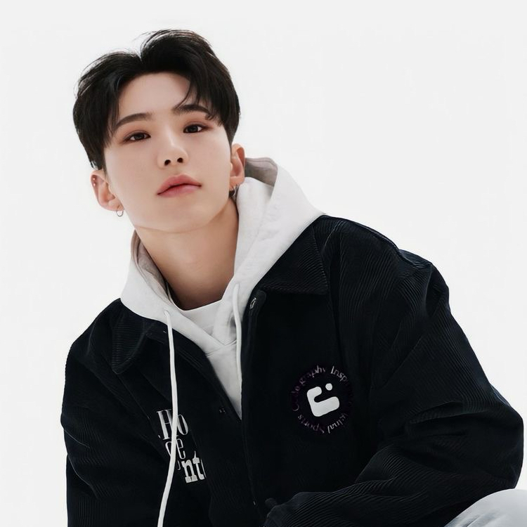 A moment captured by Hoshi (SEVENTEEN)'s fan