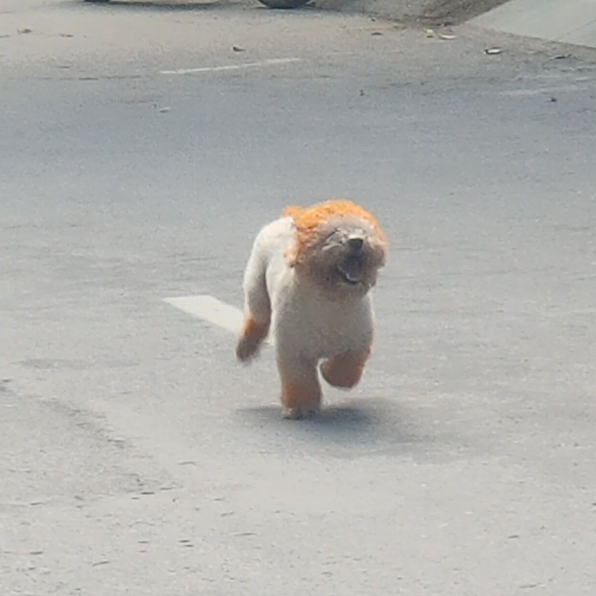 에스파의 비하인드 컷