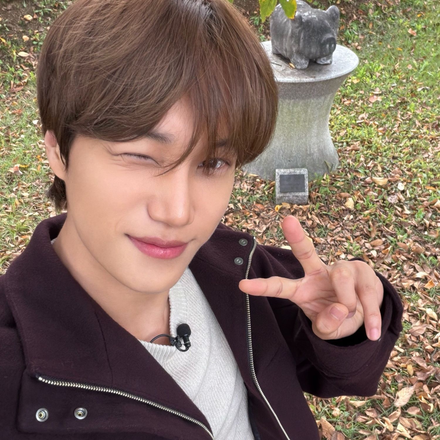 EXO 팬이 찍은 순간