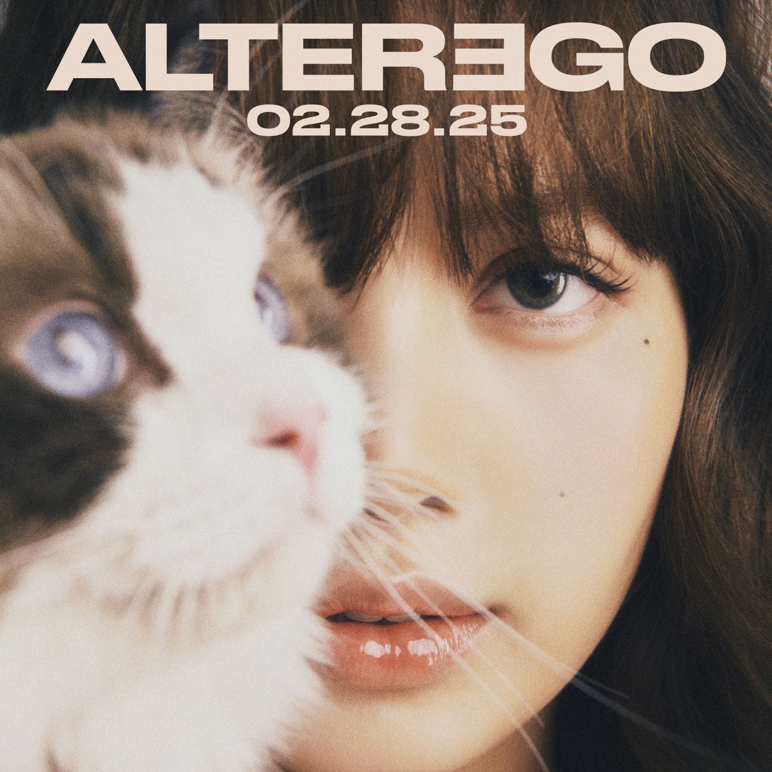 BLACKPINK 팬이 찍은 순간