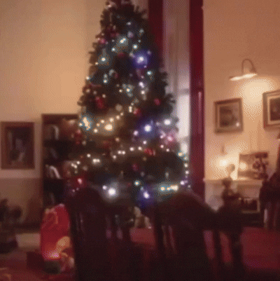 始源 (Super Junior)的最新活動照片