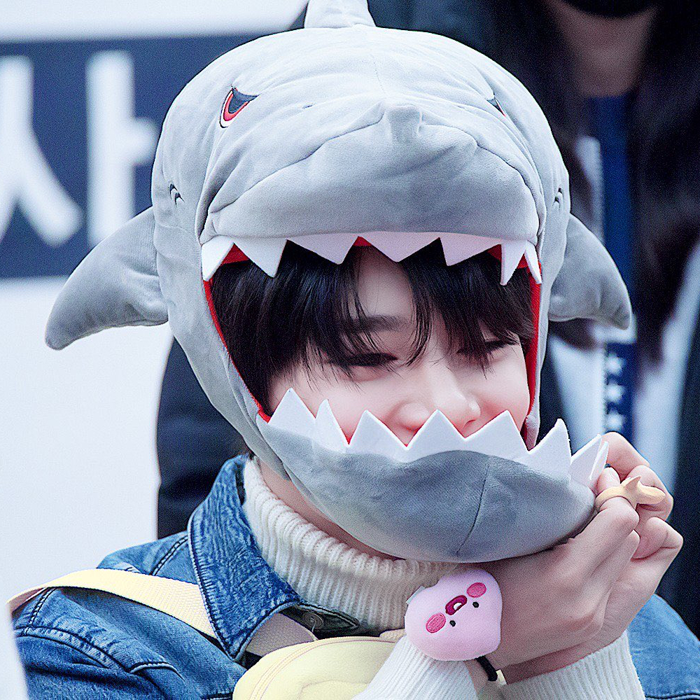 A moment captured by I.N (Stray Kids)'s fan