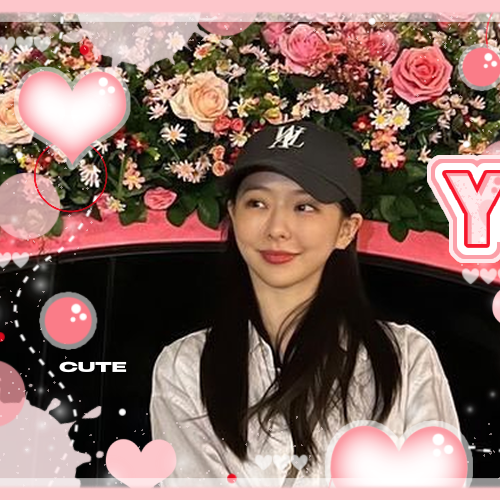 Recent activity shot of ViVi (Loossemble)