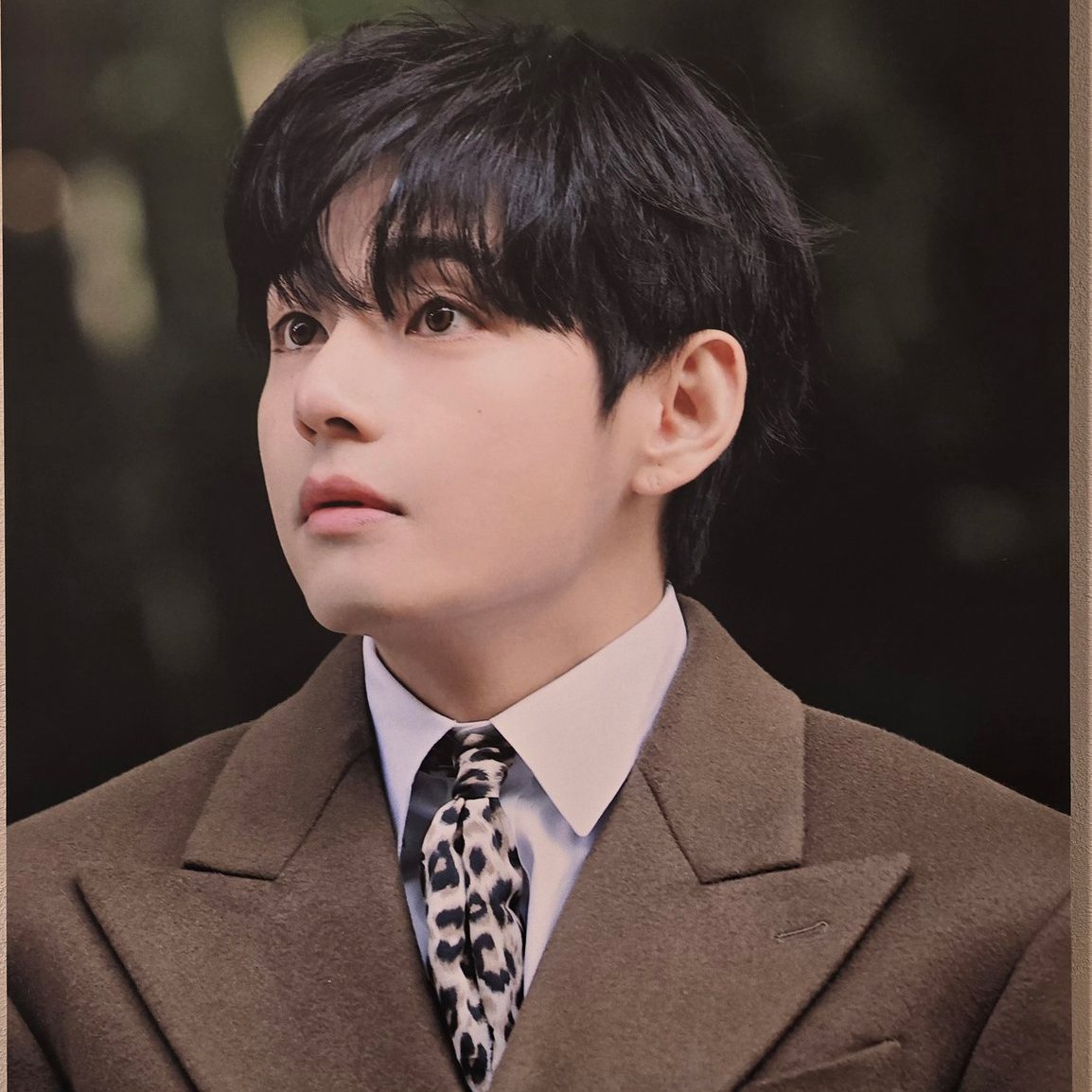 Behind-the-scenes cut of V (BTS)