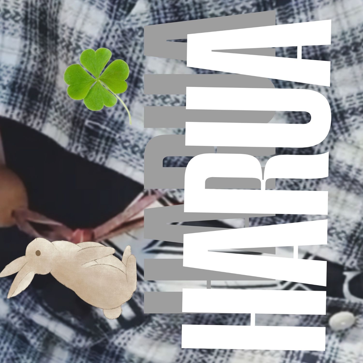 Behind-the-scenes cut of Harua (&TEAM)