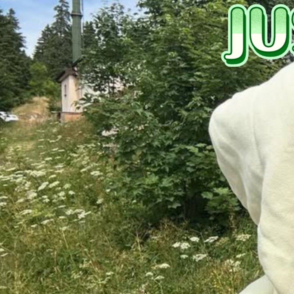 Recent activity shot of Justin Bieber
