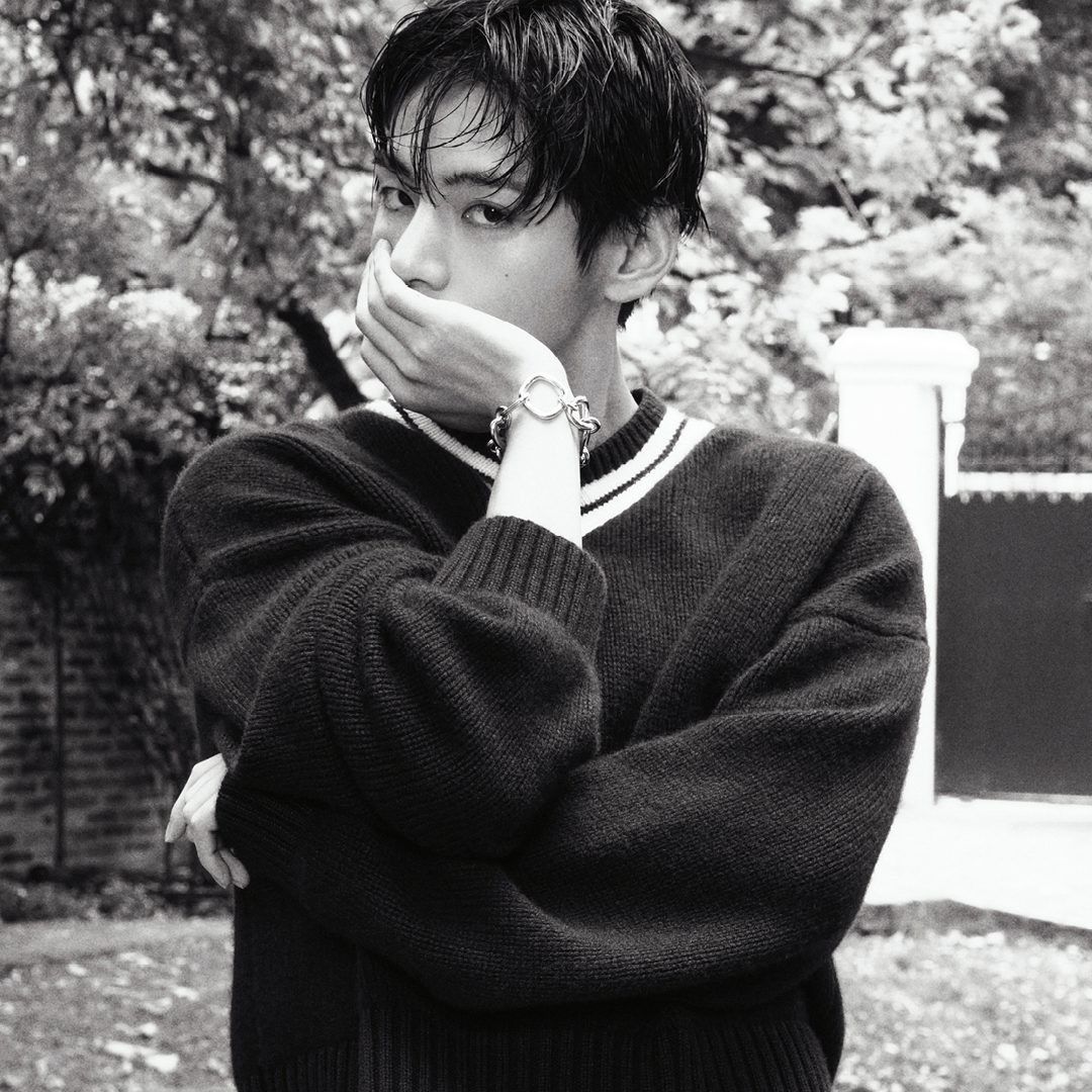 Behind-the-scenes cut of V (BTS)