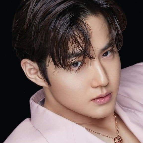Suho (EXO)的最新活动照片