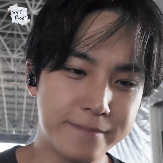 세븐틴 팬이 찍은 순간