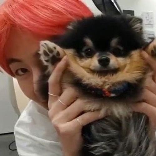 방탄소년단의 최신 사진