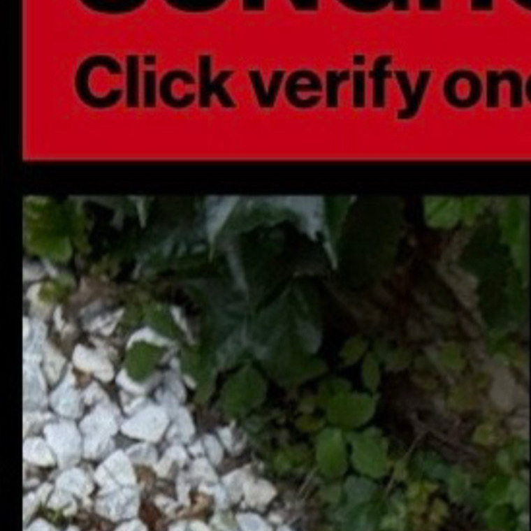 A moment captured by Sungho (BOYNEXTDOOR)'s fan