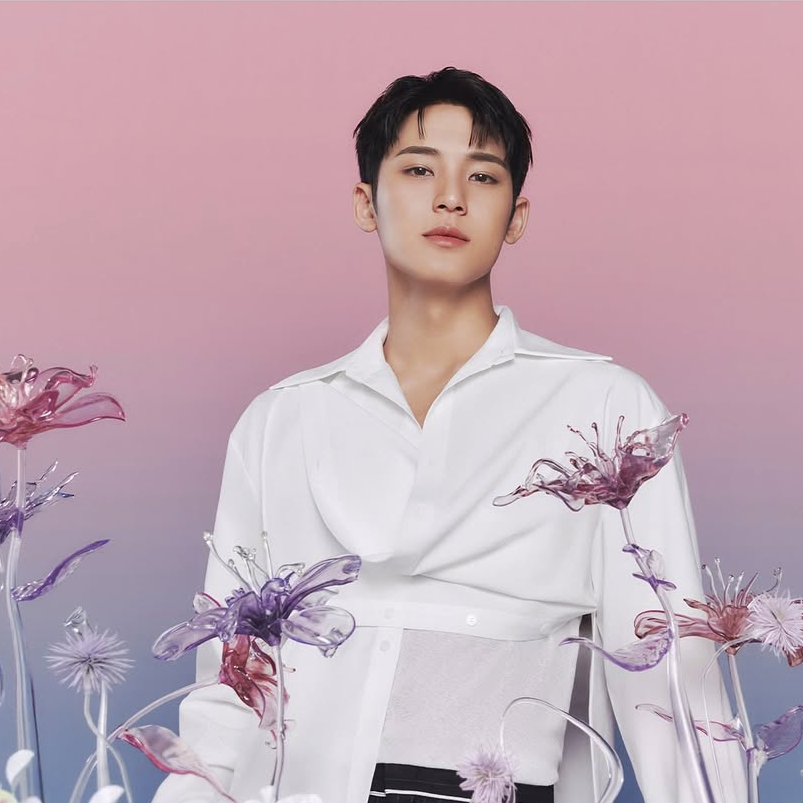 Recent activity shot of Mingyu (SEVENTEEN)