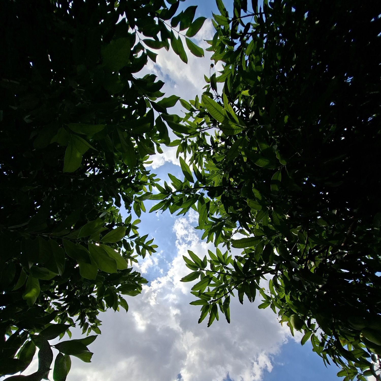 成訓 (ENHYPEN)的最新照片