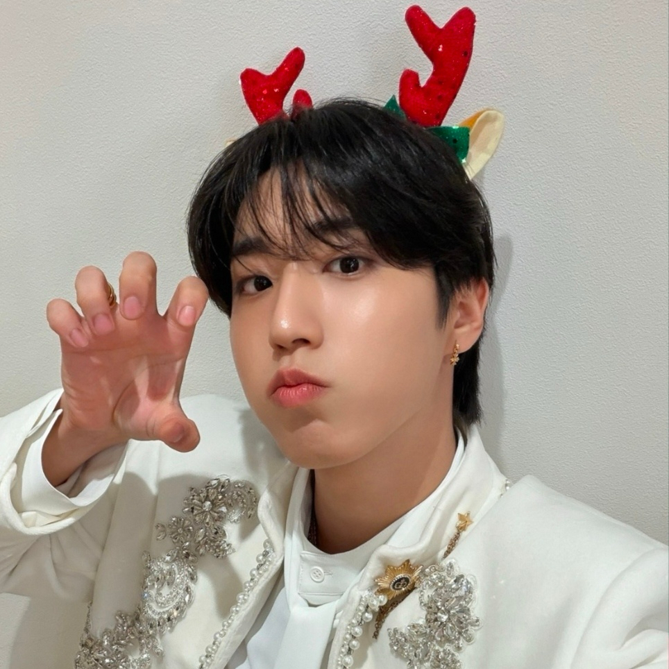 A moment captured by HAN (Stray Kids)'s fan