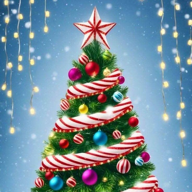 ASTROファンが撮った瞬間