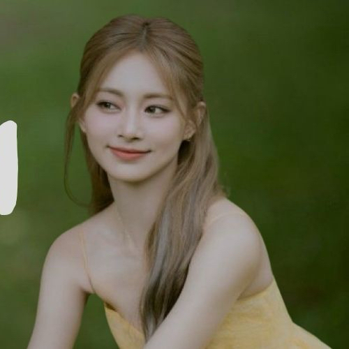 A moment captured by Tzuyu (TWICE)'s fan