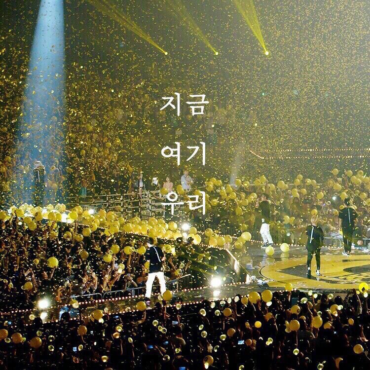 Latest photo of SECHSKIES