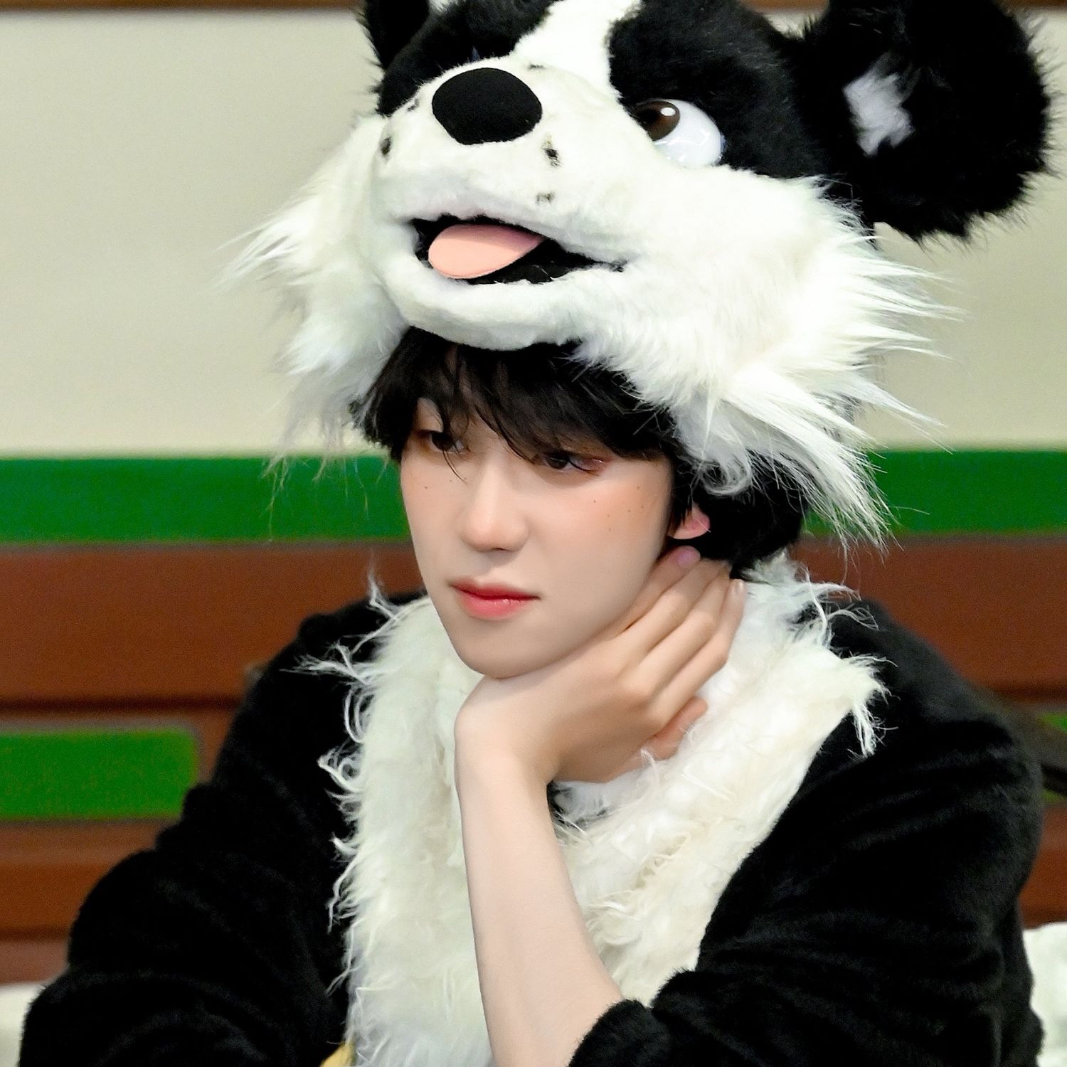 디에잇 (세븐틴) 팬이 찍은 순간