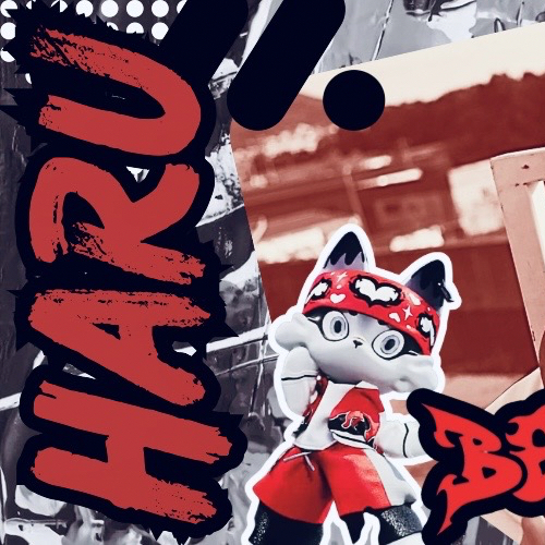 Latest photo of Haru (NEXZ)