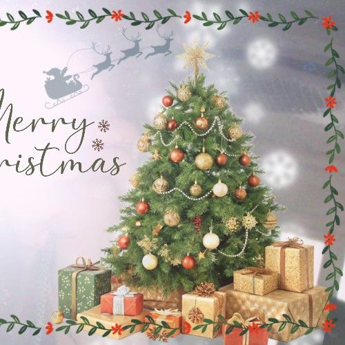 Recent activity shot of Hwi (TNX)